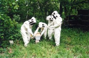 Formation apiculteurs amateurs