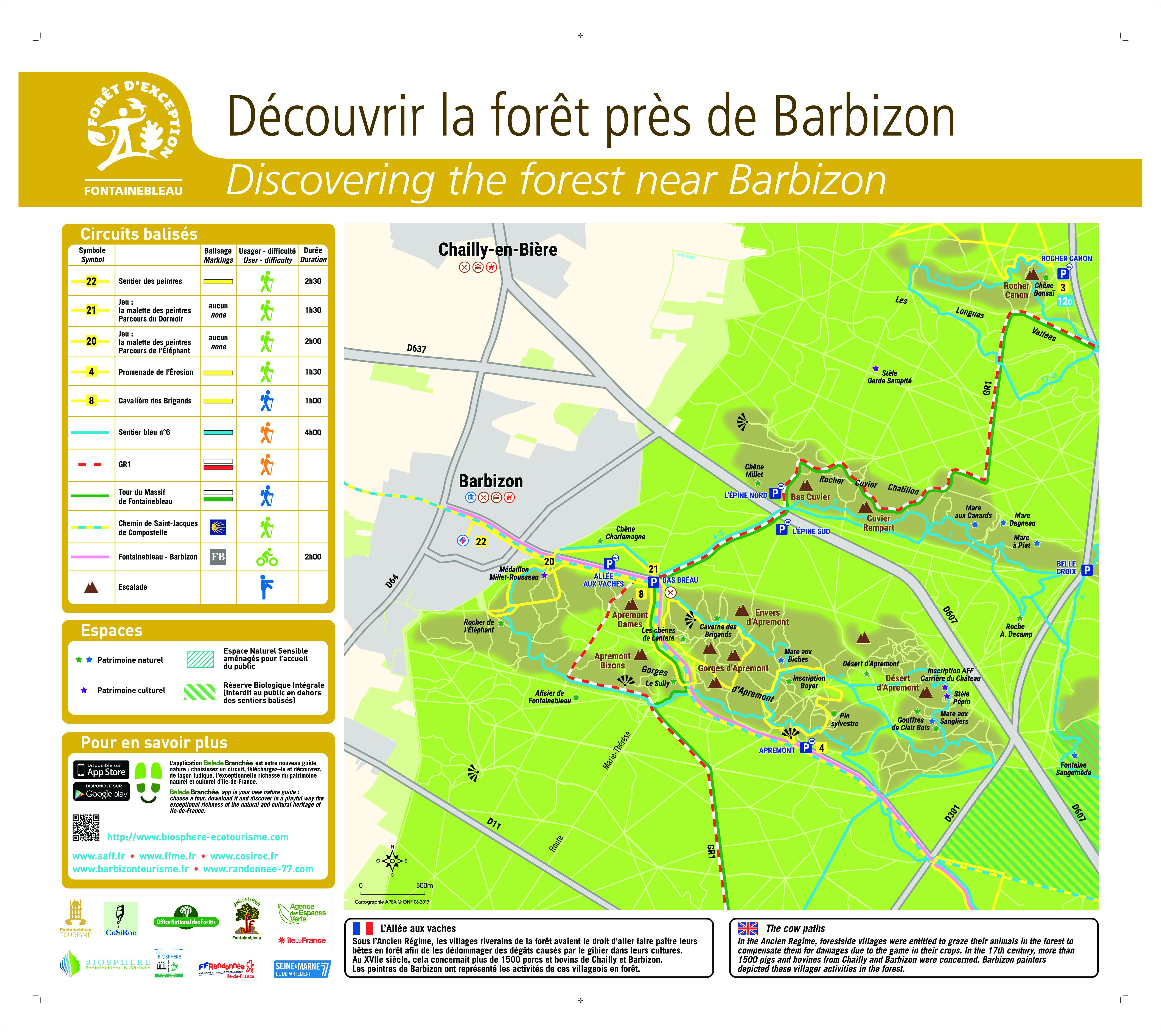 Découvrir la forêt près de Barbizon